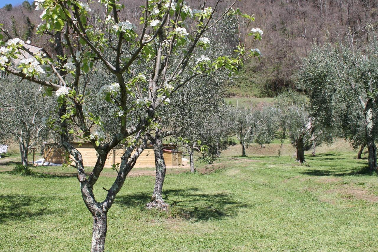 Shaleo Holiday Home Marliana Dış mekan fotoğraf