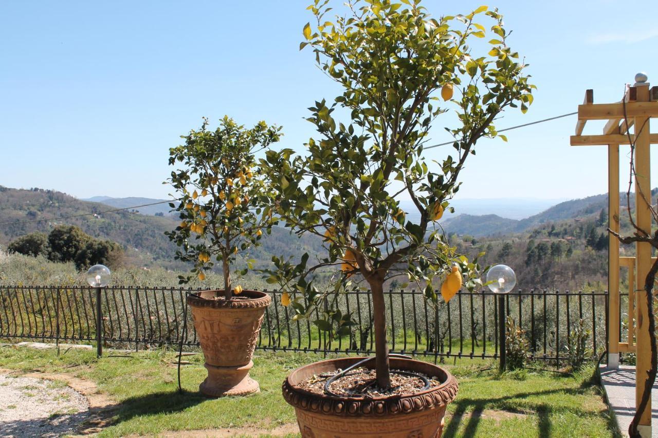 Shaleo Holiday Home Marliana Dış mekan fotoğraf