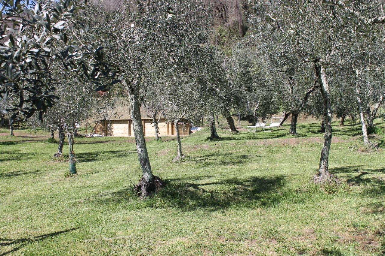 Shaleo Holiday Home Marliana Dış mekan fotoğraf