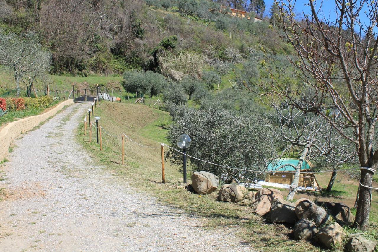 Shaleo Holiday Home Marliana Dış mekan fotoğraf